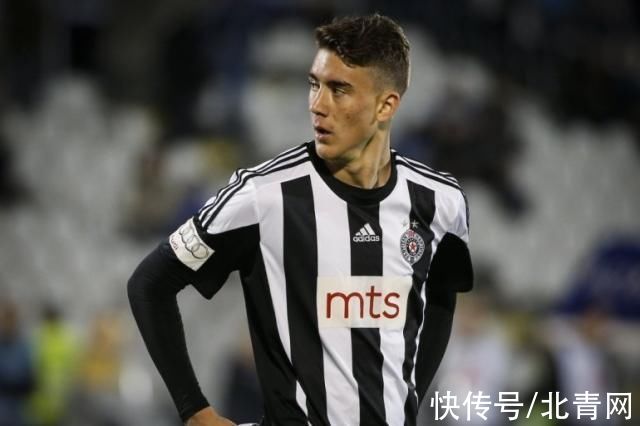 子游泳的发 子游泳的发